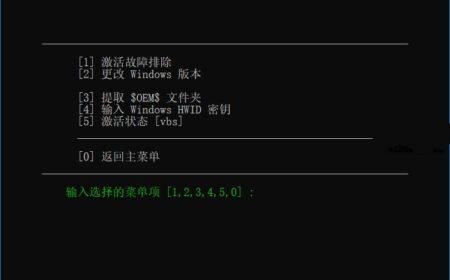 Microsoft系统激活脚本(MAS中文版)v3.2汉化版-多合一Microsoft激活脚本,支持激活所有Windows,Office产品