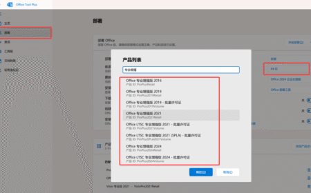 2025最新 Office 2016-2024安装工具Office Tool Plus v10.23.6.0_x64 x32